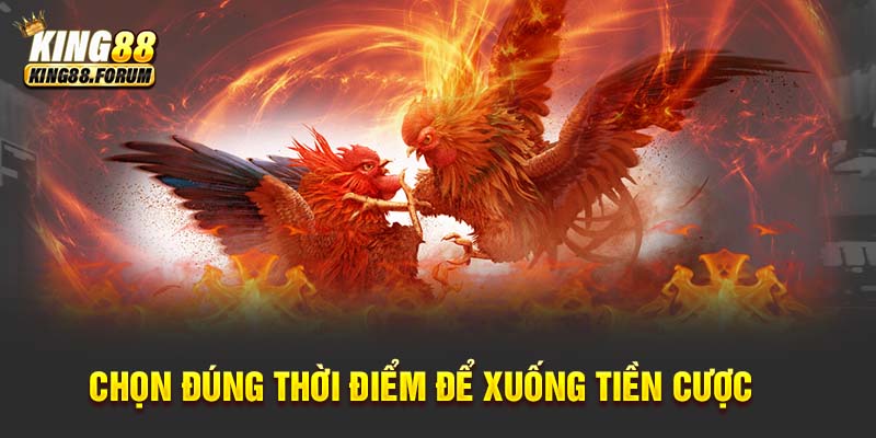 Tính toán thời điểm vào tiền đặt cược để tối ưu cơ hội chiến thắng