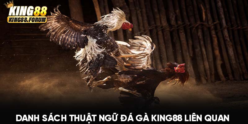 Thuật ngữ đá gà King88 về các giống gà tiềm năng