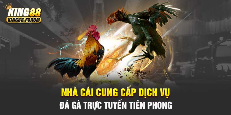 King88 là đơn vị tiên phong trong lĩnh vực đá gà trực tuyến