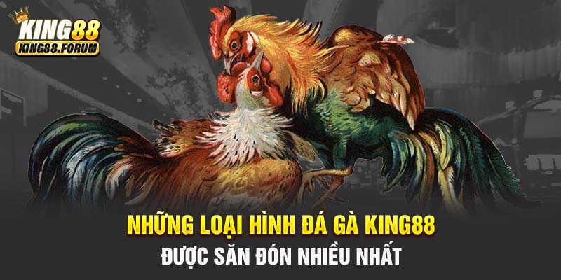 Đa dạng hình thức cược đá gà King88 cho người chơi lựa chọn