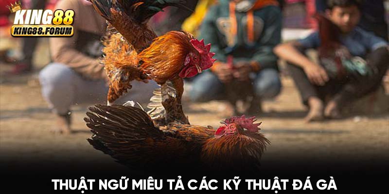 Mỗi chiến kê tham gia trận đá sẽ tung nhiều kỹ thuật khác nhau