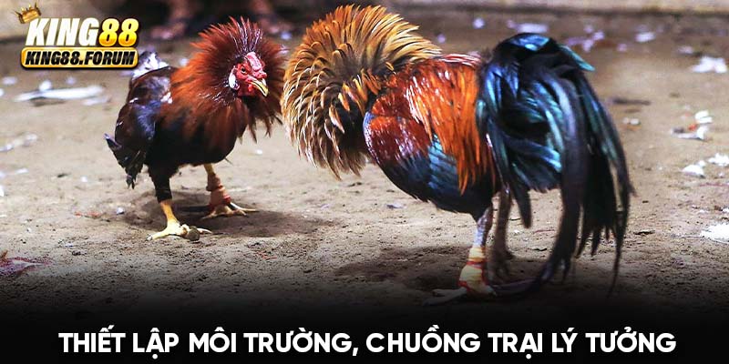 Chú ý xây dựng môi trường sống khô ráo và vệ sinh