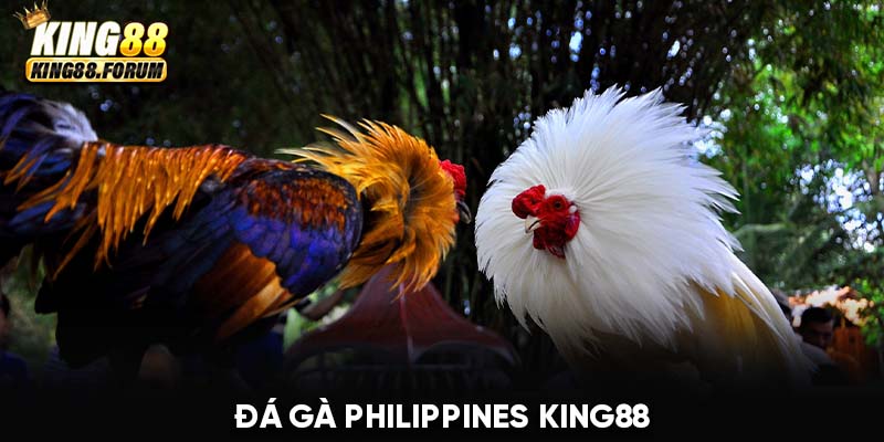 đá gà Philippines King88