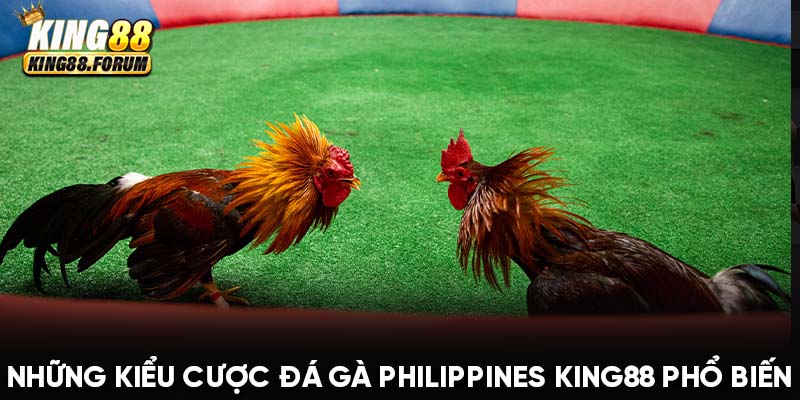 Đá gà Philippines King88 nhiều kiểu cược xanh chín