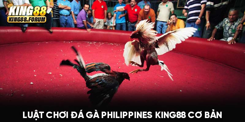 Luật chơi đá gà Philippines tại King88 cực kỳ dễ hiểu